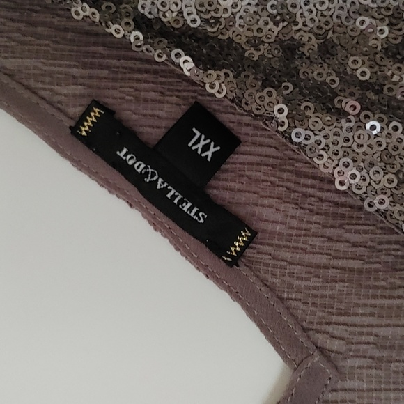 Stella & Dot Silver Sequin Dressy Top ~ Size XXL - Picture 4 of 7